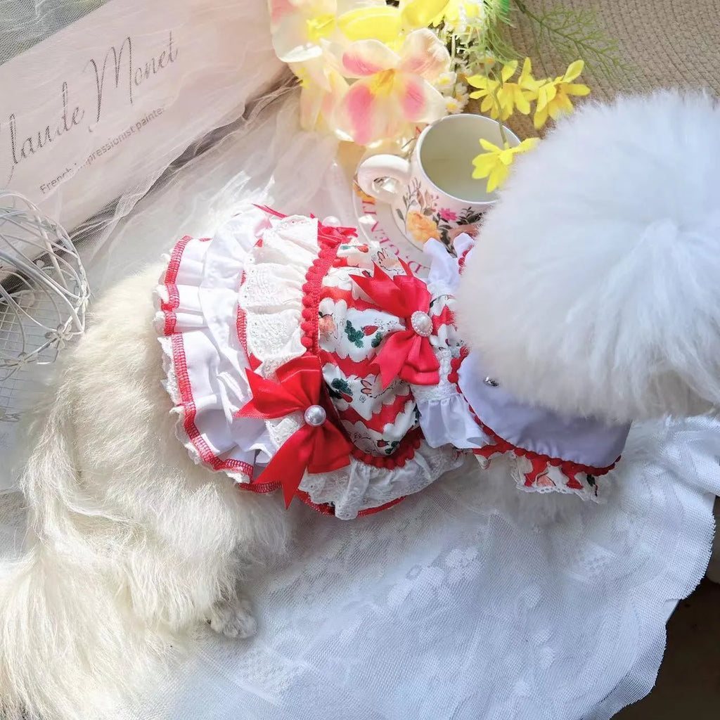 Small white dog wearing a pink rabbit skirt princess dress, showing flared shape and fit.