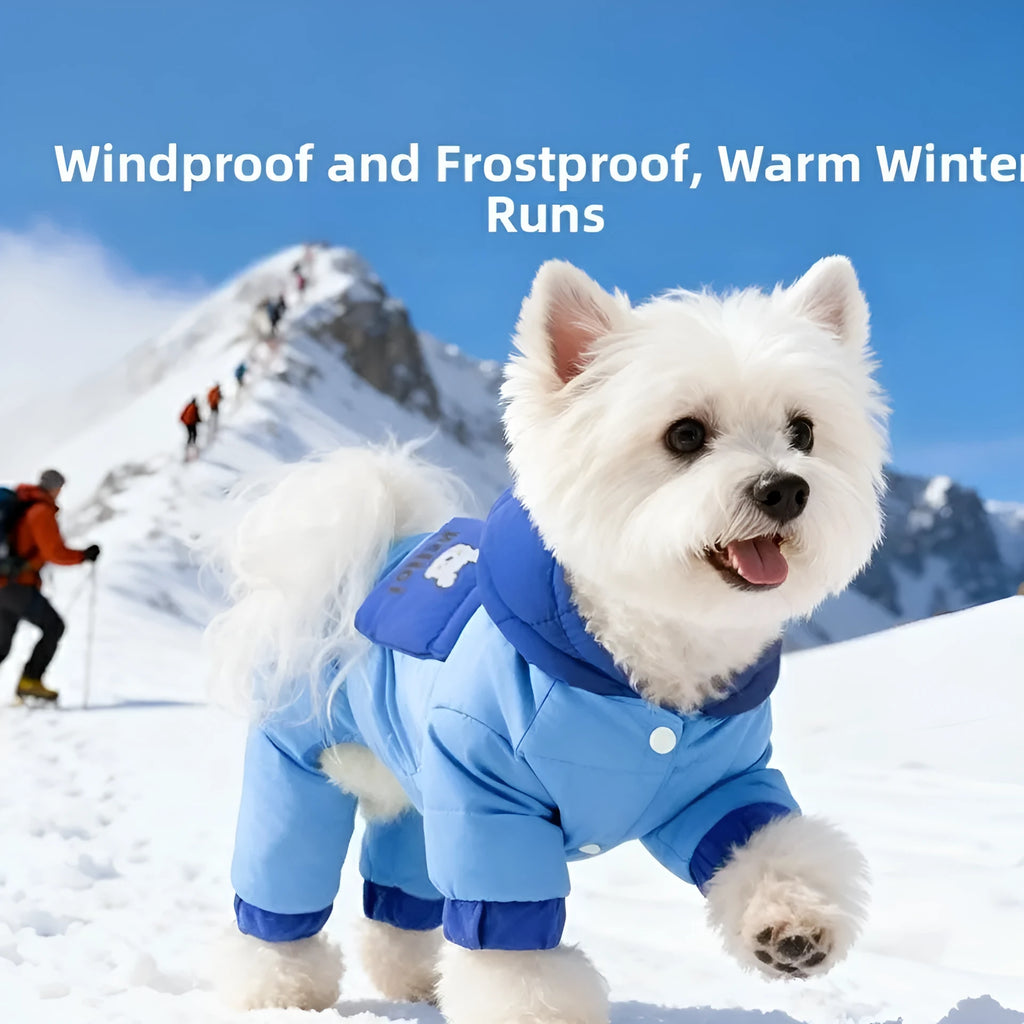 Blue padded dog snowsuit with hood, 'Hello!' bear print pocket and metal leash ring for small dogs and cats.