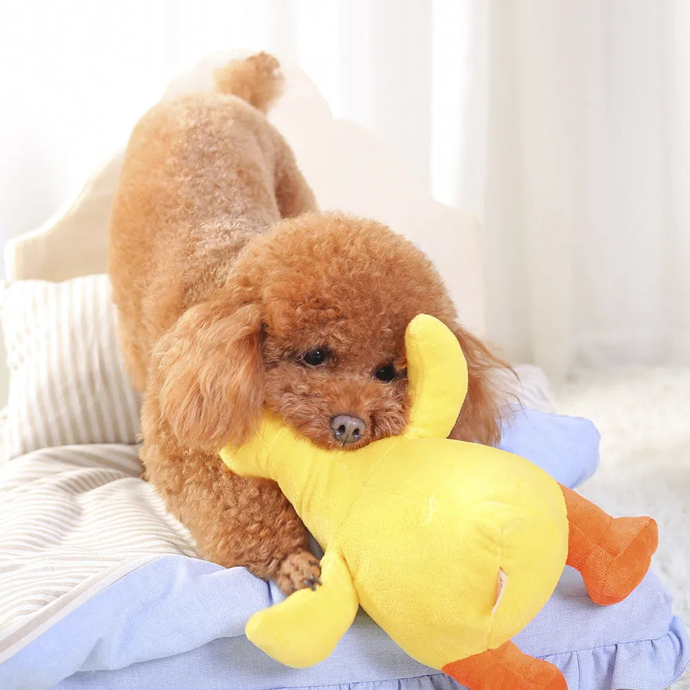 Huayuan Pet yellow plush dog vocal toy with innocent eyes and chubby body for companionship