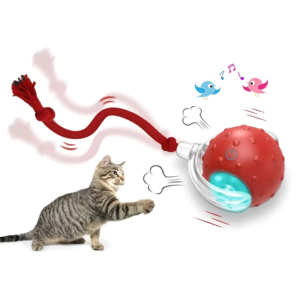 Interactive cat toy ball in PC silicone with three light modes, rolling on floor, chirping bird sound, includes funny cat stick