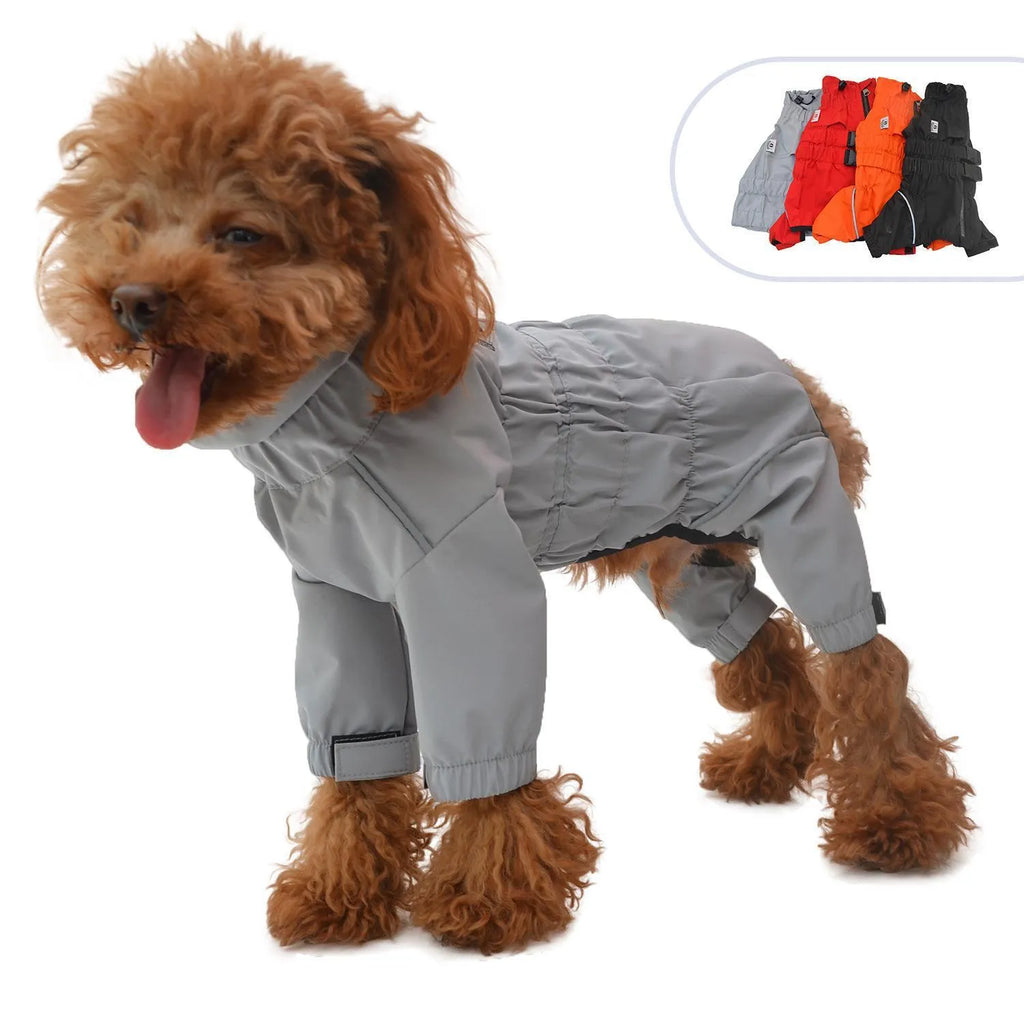 Outdoor four legged dog raincoat in polyester, black colour, on a dog standing in wet grass