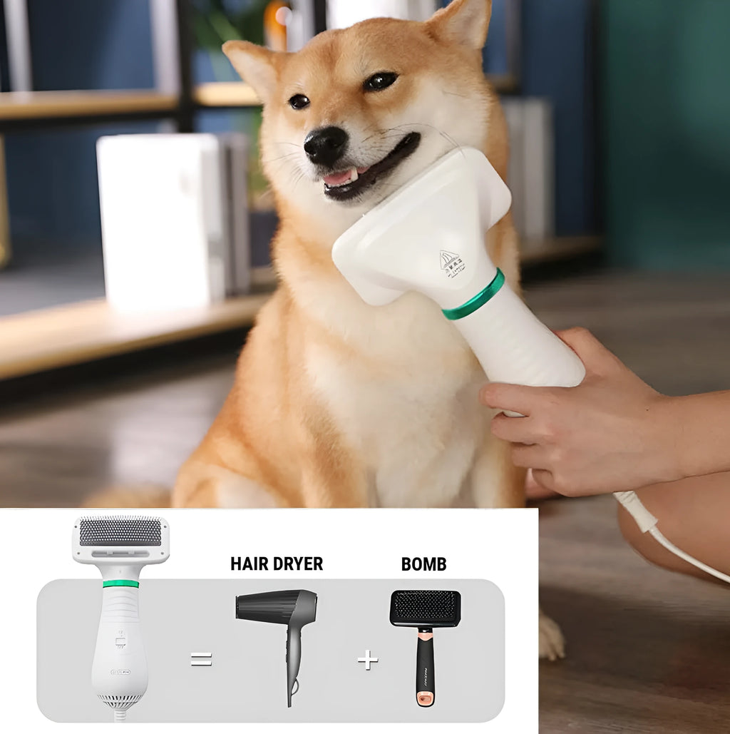 2-in-1 gold pet drying brush with comb, 304 stainless steel needles, rotating head, and UK plug