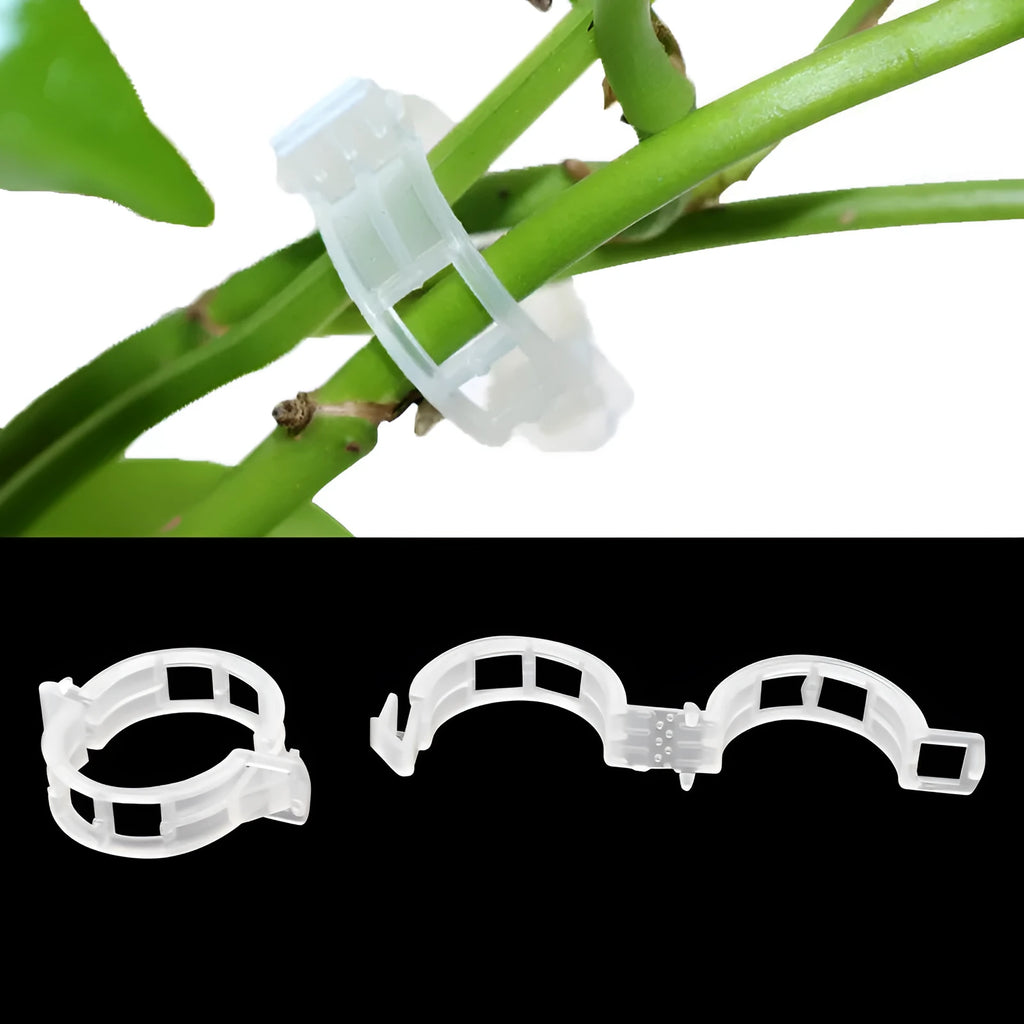 Set of 50 plastic plant grafting clips in various colours for supporting tomato vines and branches