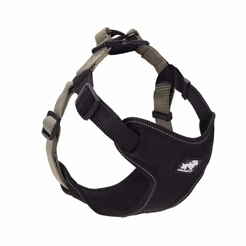 Dog leash and collar set made of Oxford cloth and breathable mesh with zinc alloy clip, black red colour, size M
