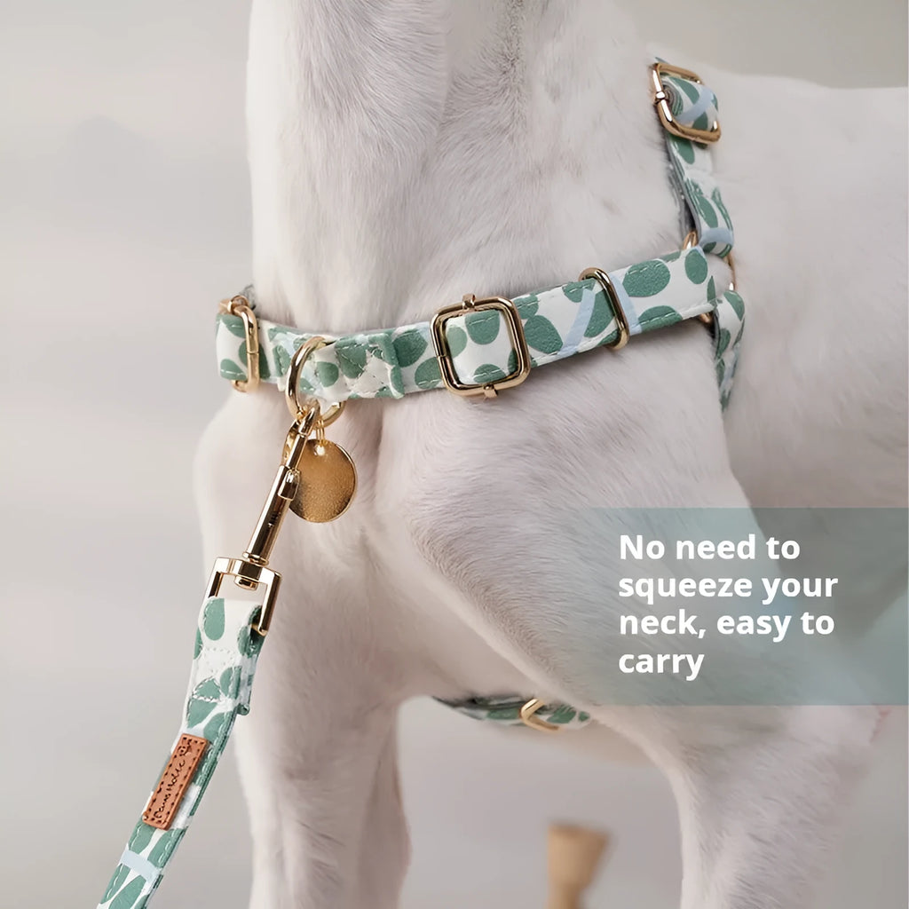 Polyester dog chest strap harness in early snow colour with hand-held rope for outdoor walking
