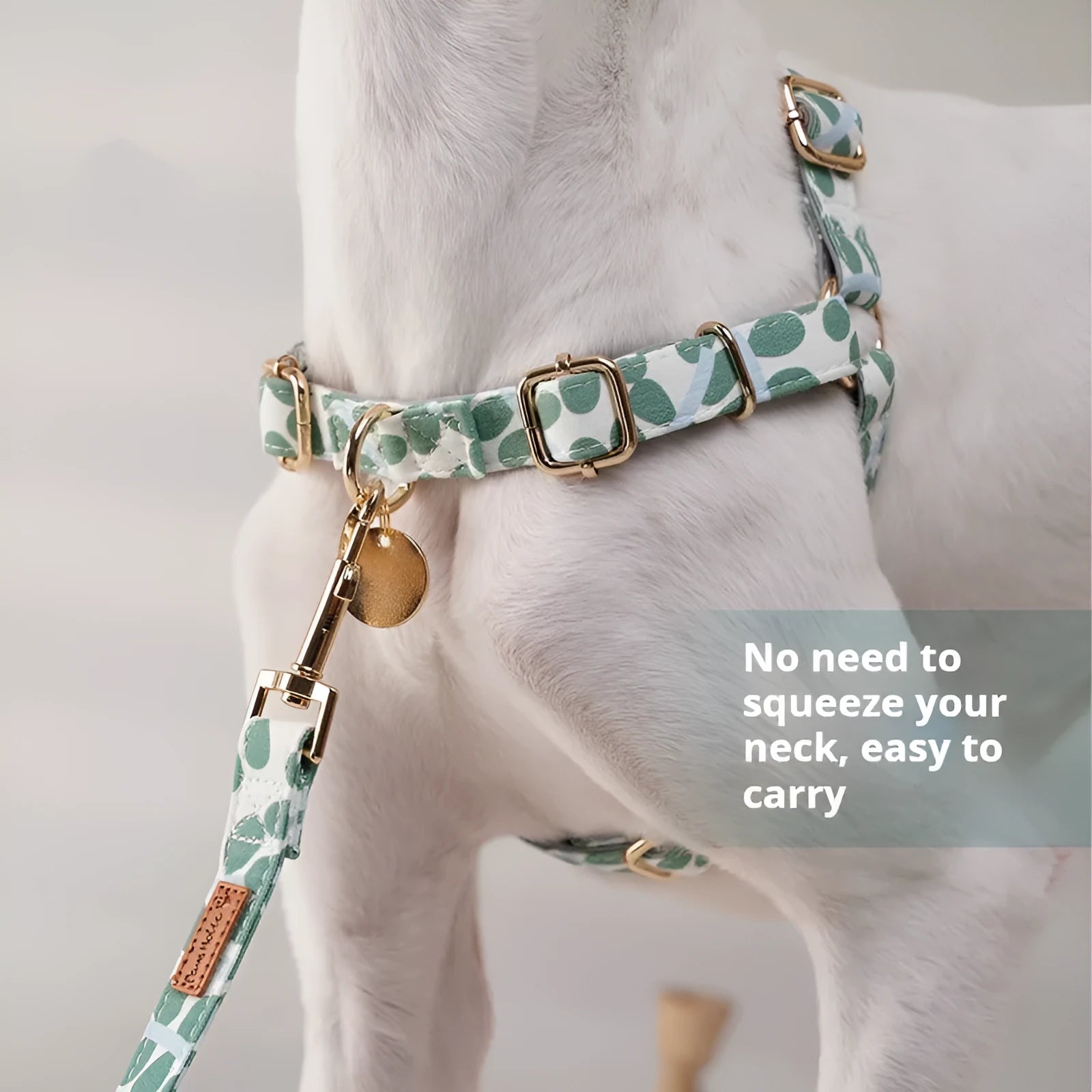 Polyester dog chest strap harness in early snow colour with hand-held rope for outdoor walking