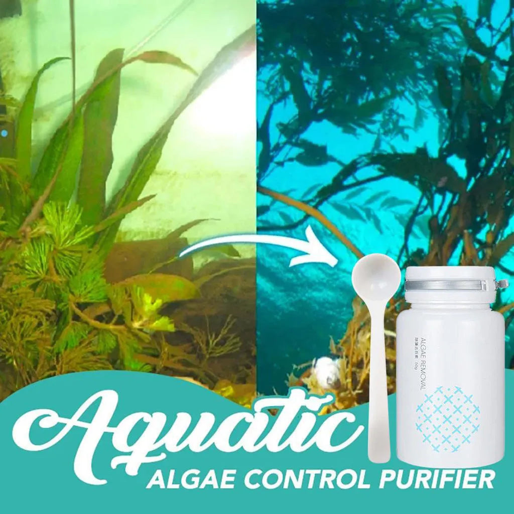 50g algaecide container for swimming pool and aquarium algae control treatment