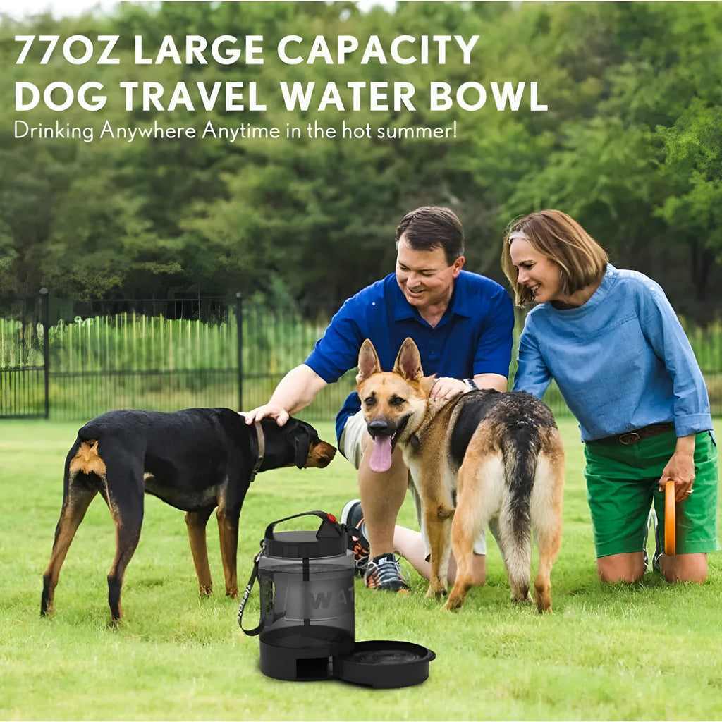 Black large capacity silicone plastic drinking water bottle for dogs and cats