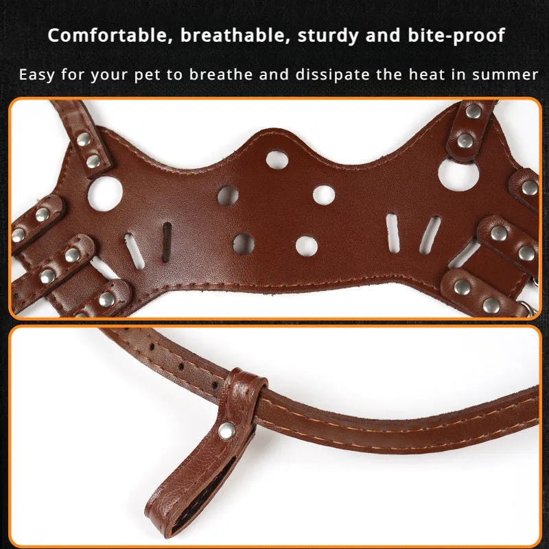 Black adjustable dog muzzle silencer for anti-barking and bite prevention training on a medium-sized dog