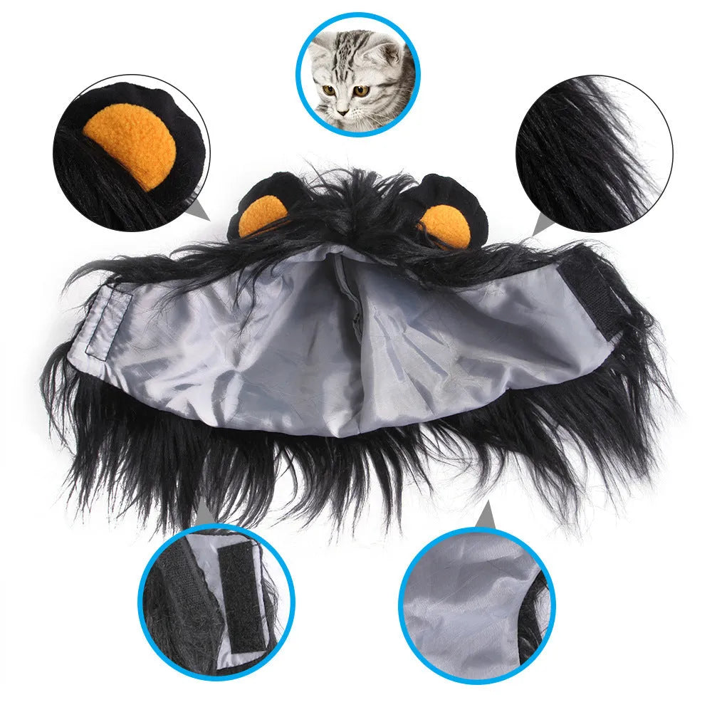 Cat wearing lion headgear wig hat costume in black colour
