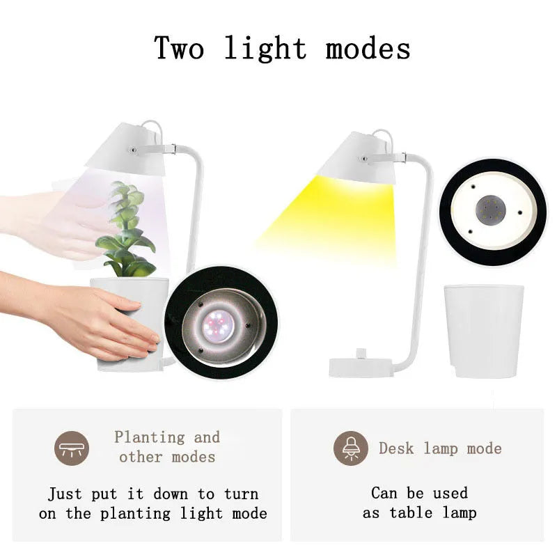 White plastic desktop hydroponic plant growth container for soilless cultivation.