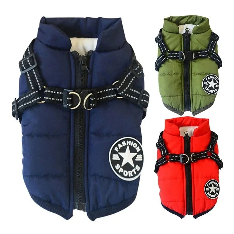Small dog wearing a waterproof winter hooded coat jacket with reflective trim, adjustable strap, and high-quality zipper in blue colour