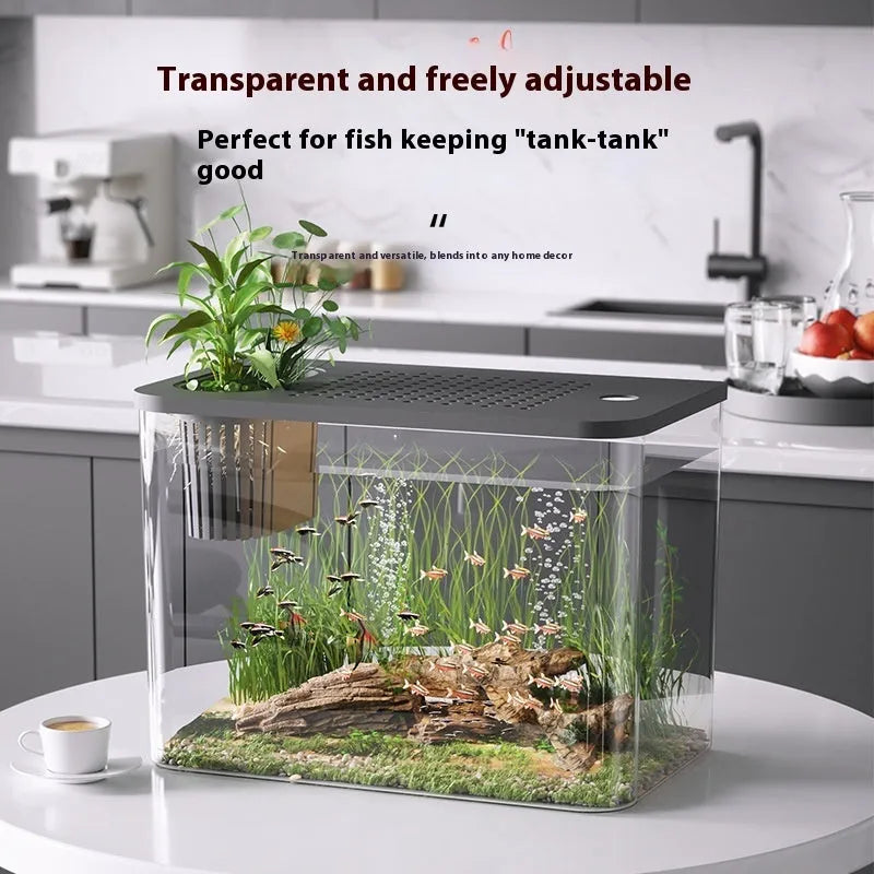 Compact black or white plastic Betta fish tank with a lid, dimensions 32cm wide by 23cm high.