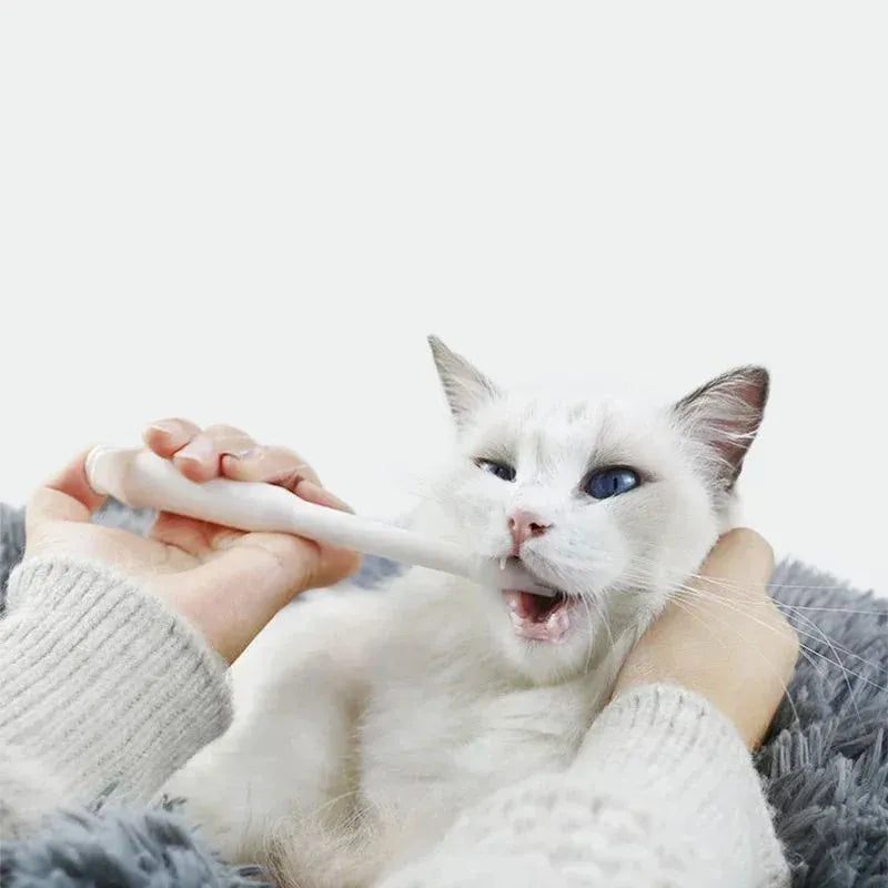Pet medicine feeder push dispenser for cats dogs blue white plastic syringe tube