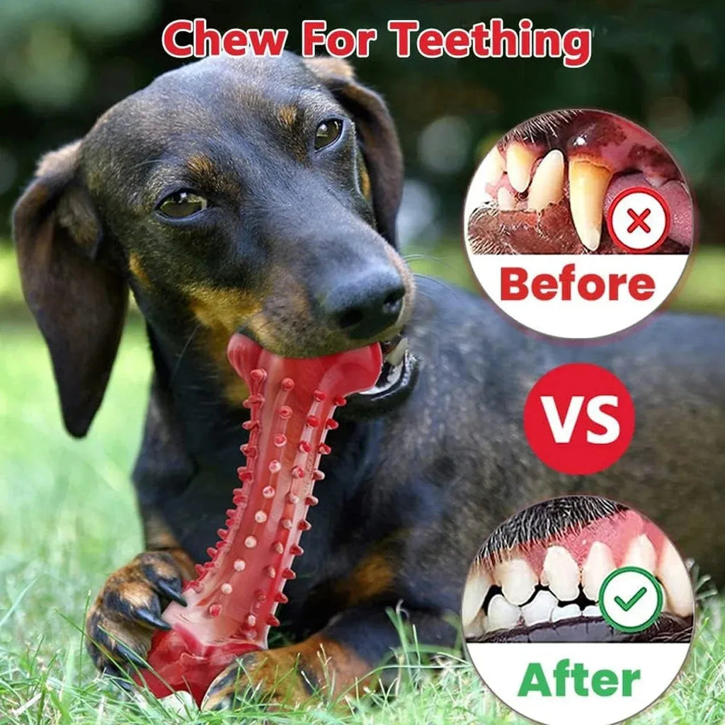 Red natural rubber chew toy for aggressive chewing dogs