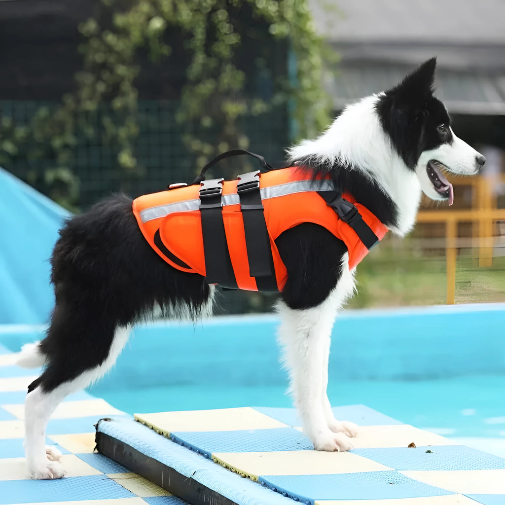 Reflective orange dog life jacket vest with double-layer buoyancy and Velcro fastening on green grass