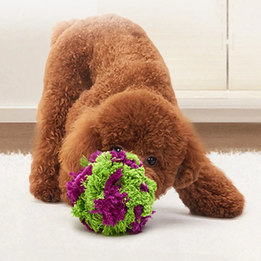 Purple sea urchin plush dog chew ball with multiple protruding sections for teething relief