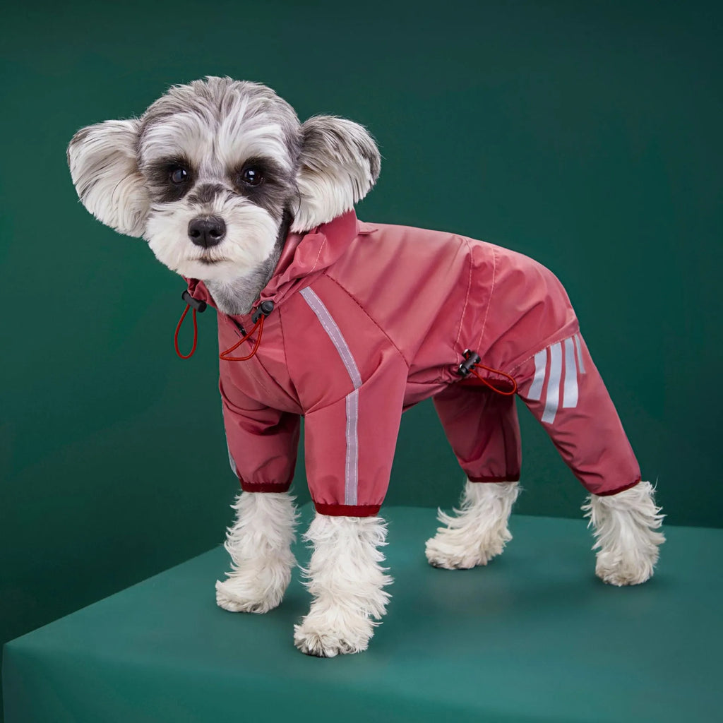 Dog wearing a blue four-legged waterproof raincoat made from PUC polyester fibre, standing outdoors in wet weather.