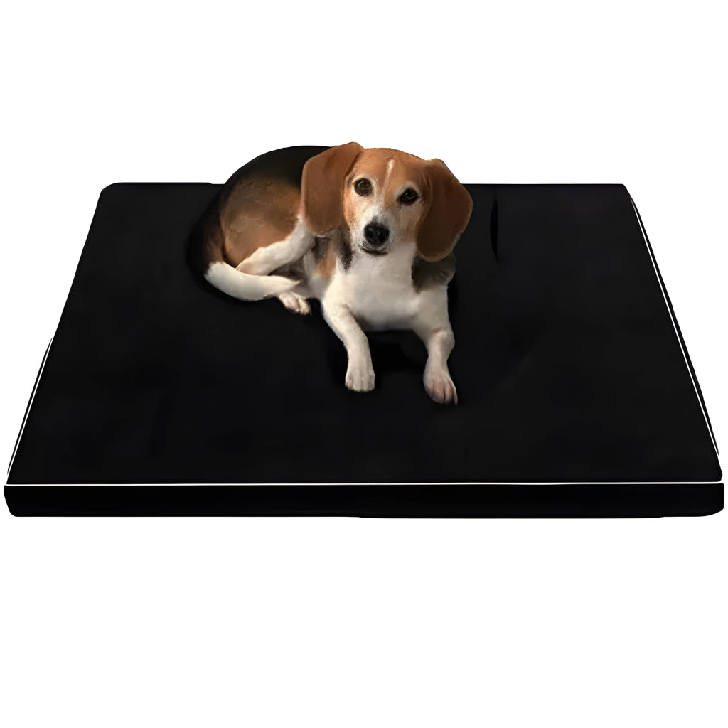 Arthur memory foam pet bed for large elderly dogs in black with low profile and non-slip bottom