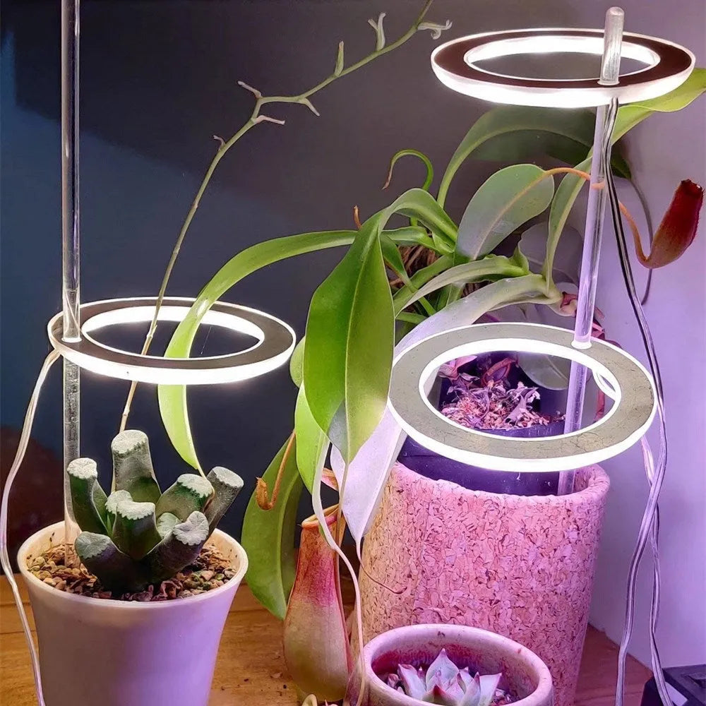 Small circular USB LED angel ring grow light for indoor plants on a desk.
