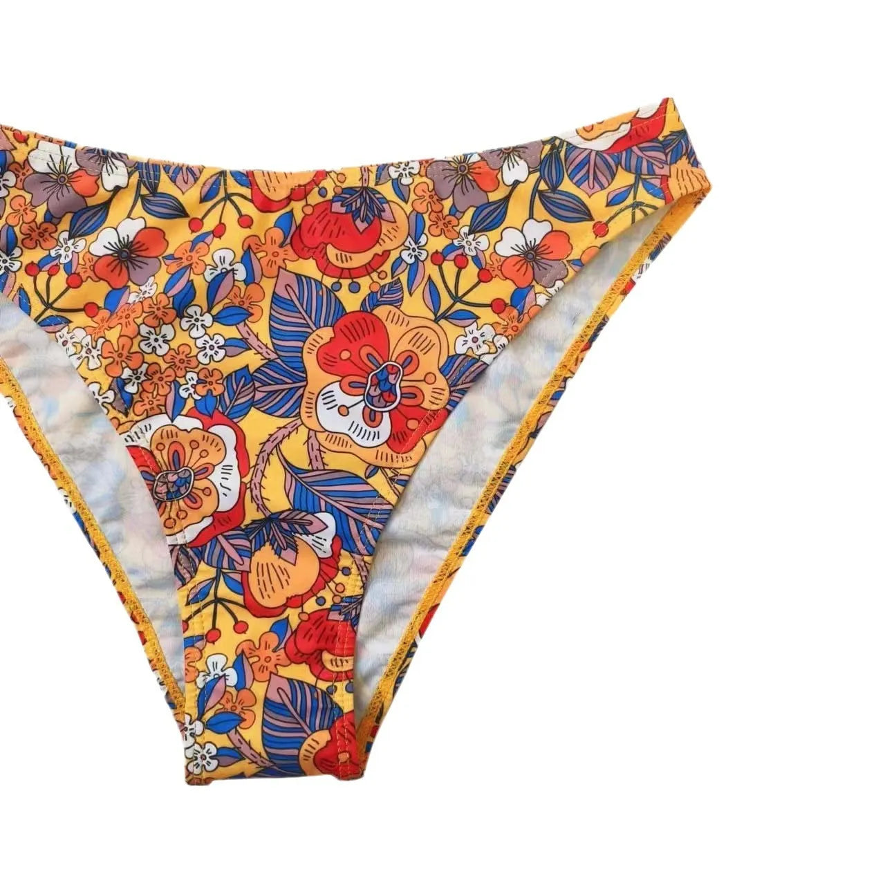 Plus size floral print strapped bikini swimsuit top and briefs on a white background.