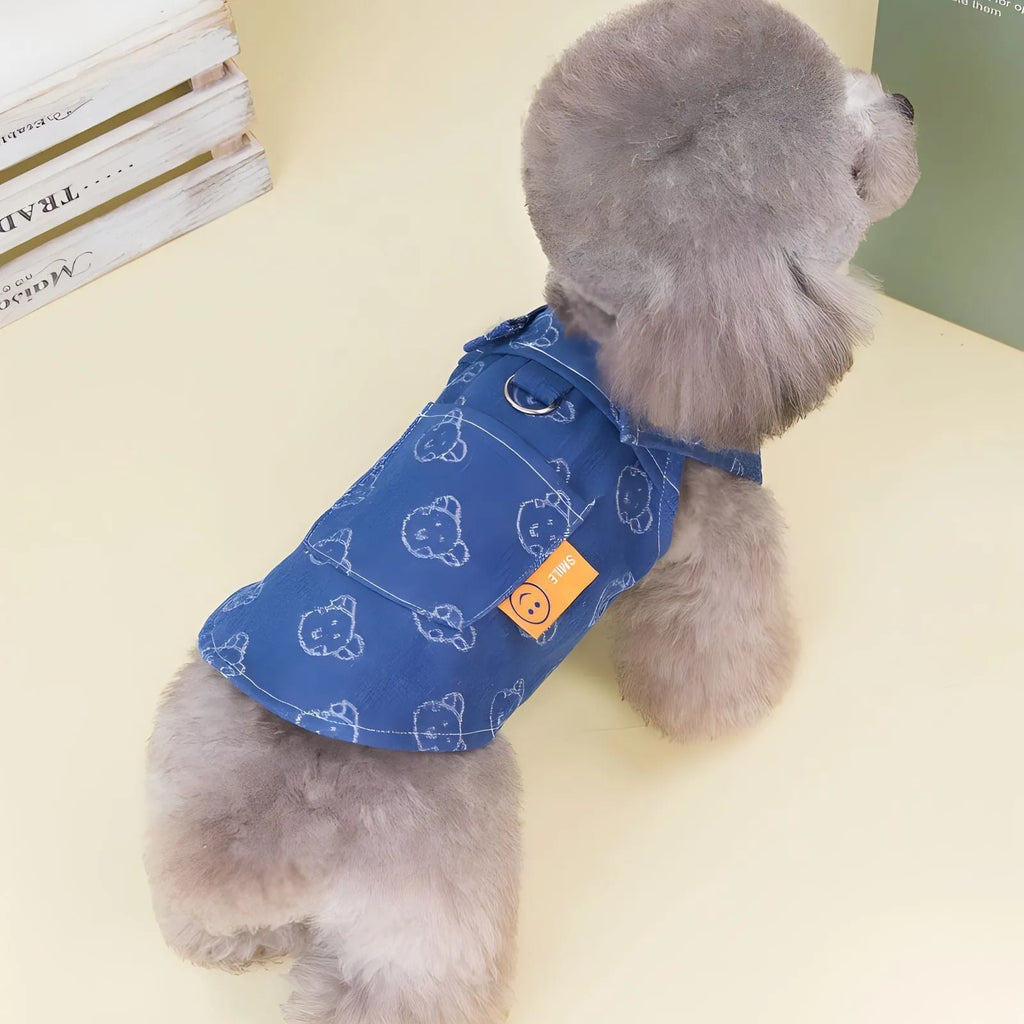 Blue denim princess dress for a small white dog, shown in brace-skirt and brace-T style variations.