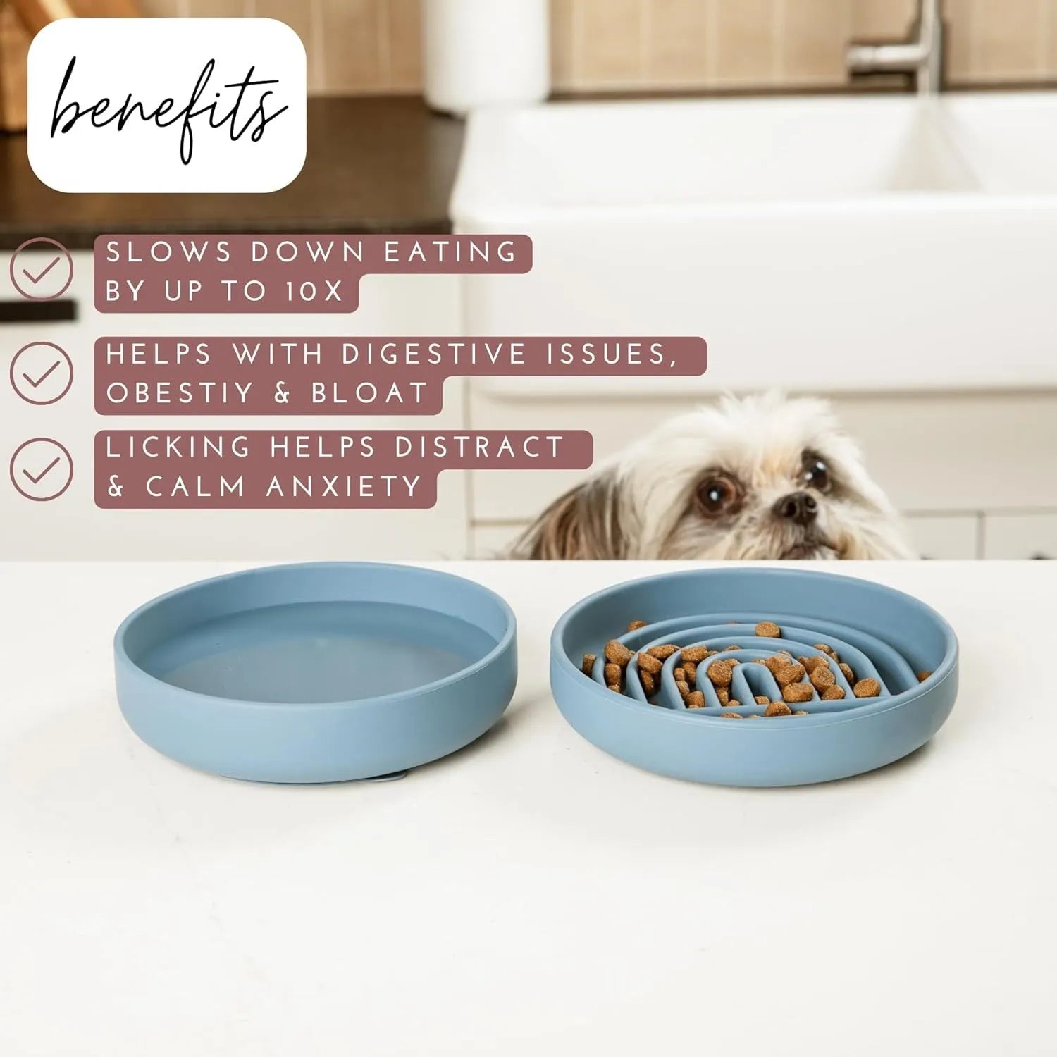 Silicone slow feeder dog bowl with textured ridges and lick mat design.