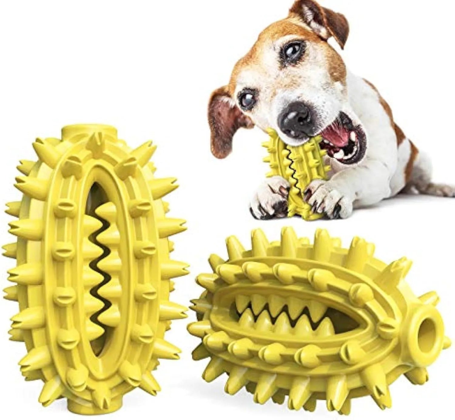 Green cactus-shaped rubber dog chew toy for dental care on a white background.