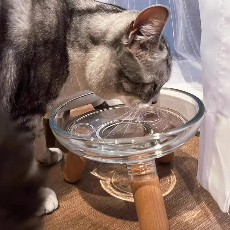 Plastic pet bowl with glass bowl light colour shelf not easy to knock over for cats and dogs