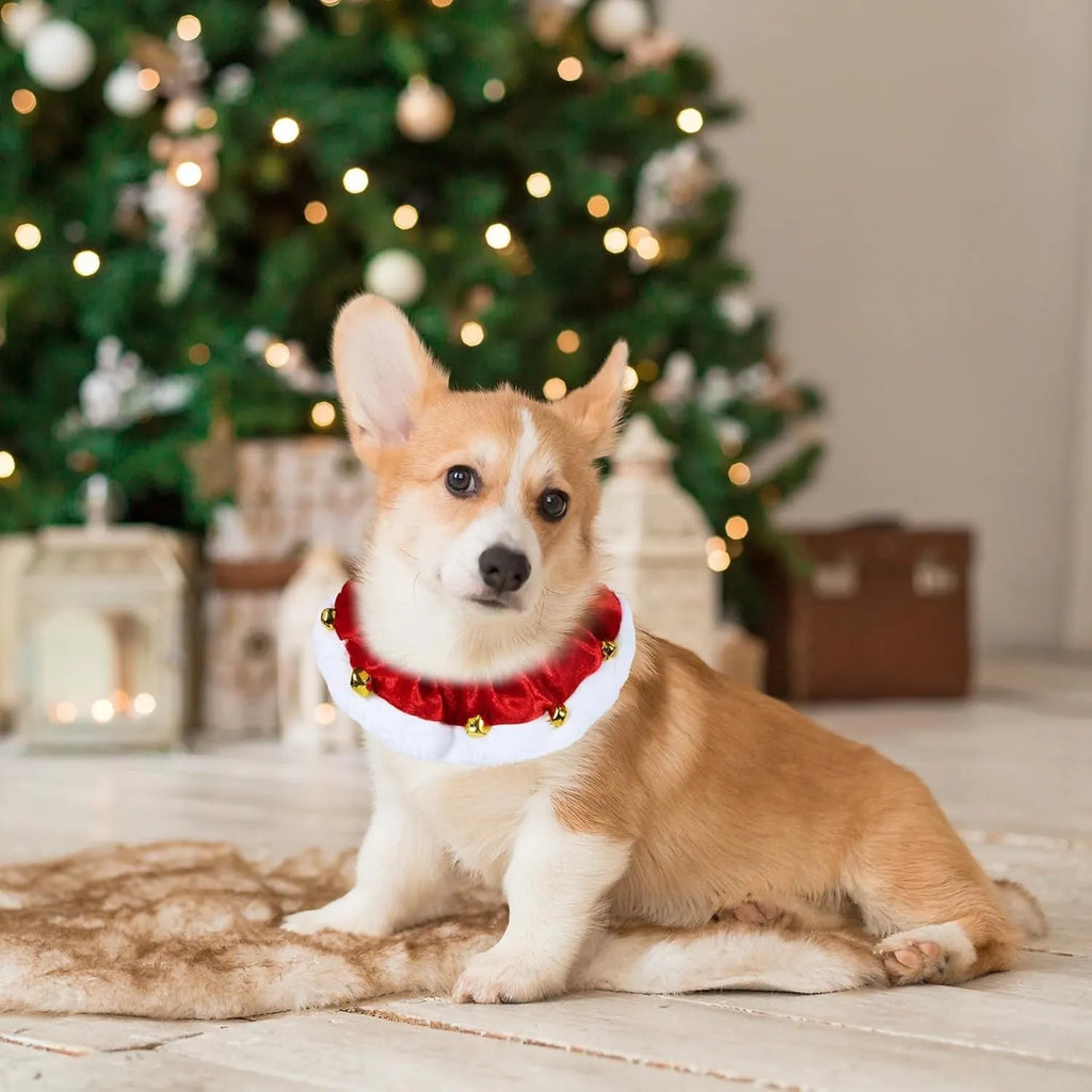 Christmas dog collar with gold bells in red and white polyester for small medium large pets