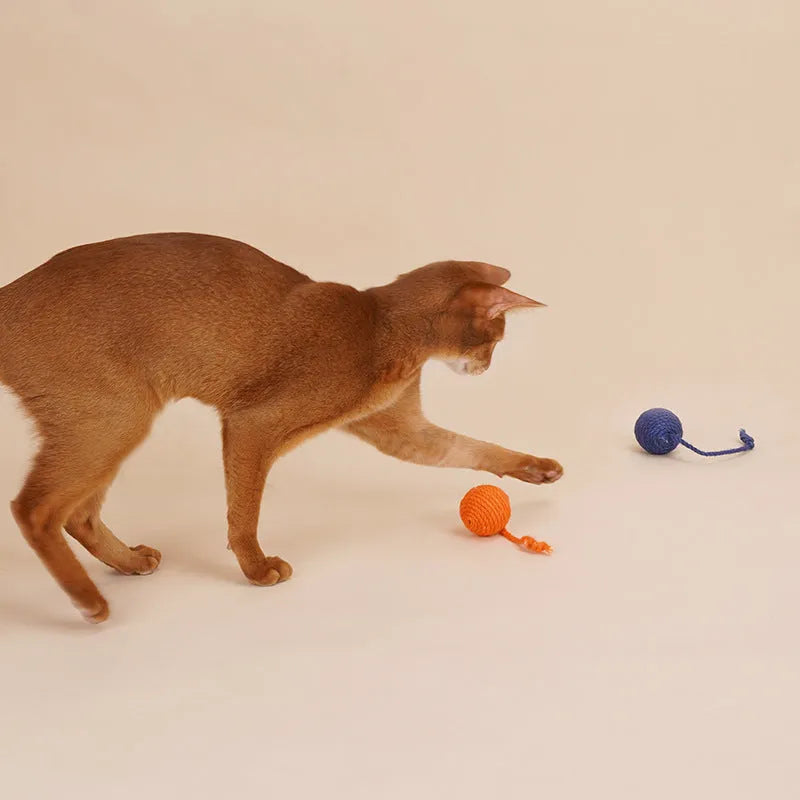 Cat toy set with teaser stick and catnip ball in multiple colour options