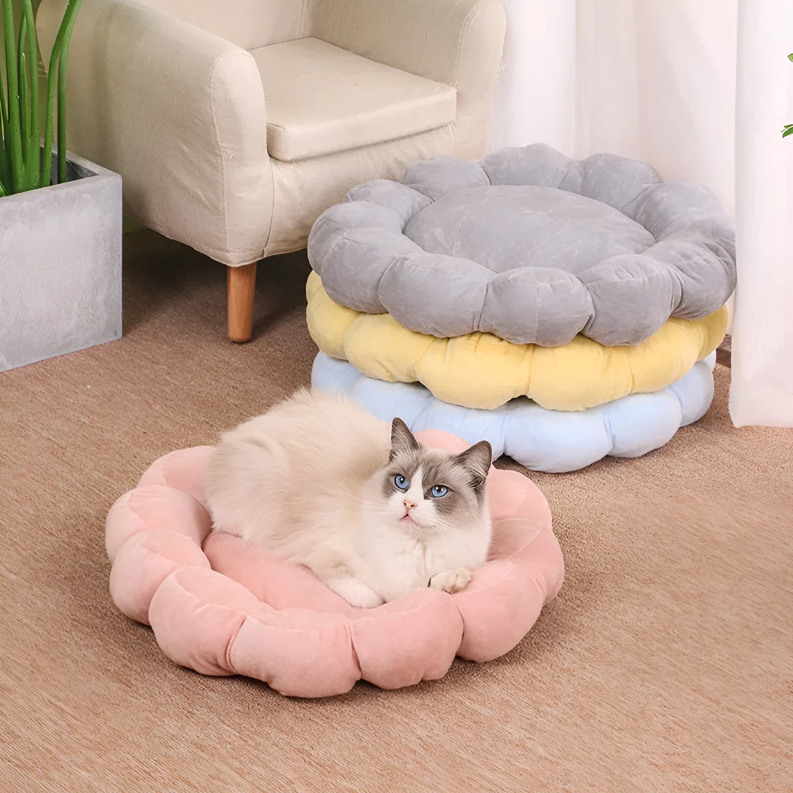 Blue half-surrounded plush pet nest bed measuring 50x50cm for cats and small dogs