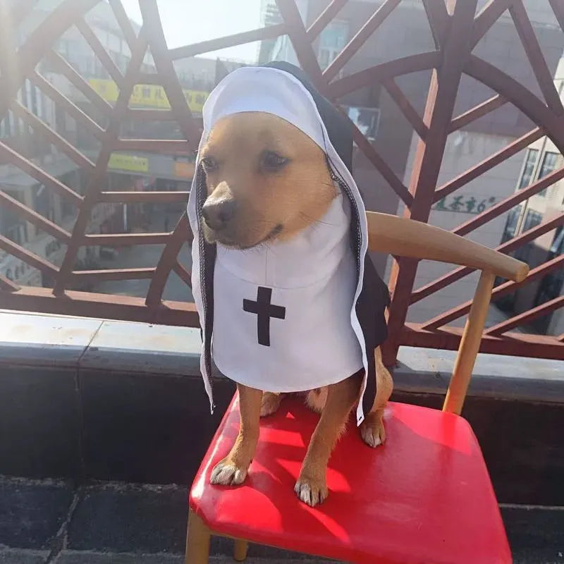 Black and white nun costume for small to medium dogs on Halloween