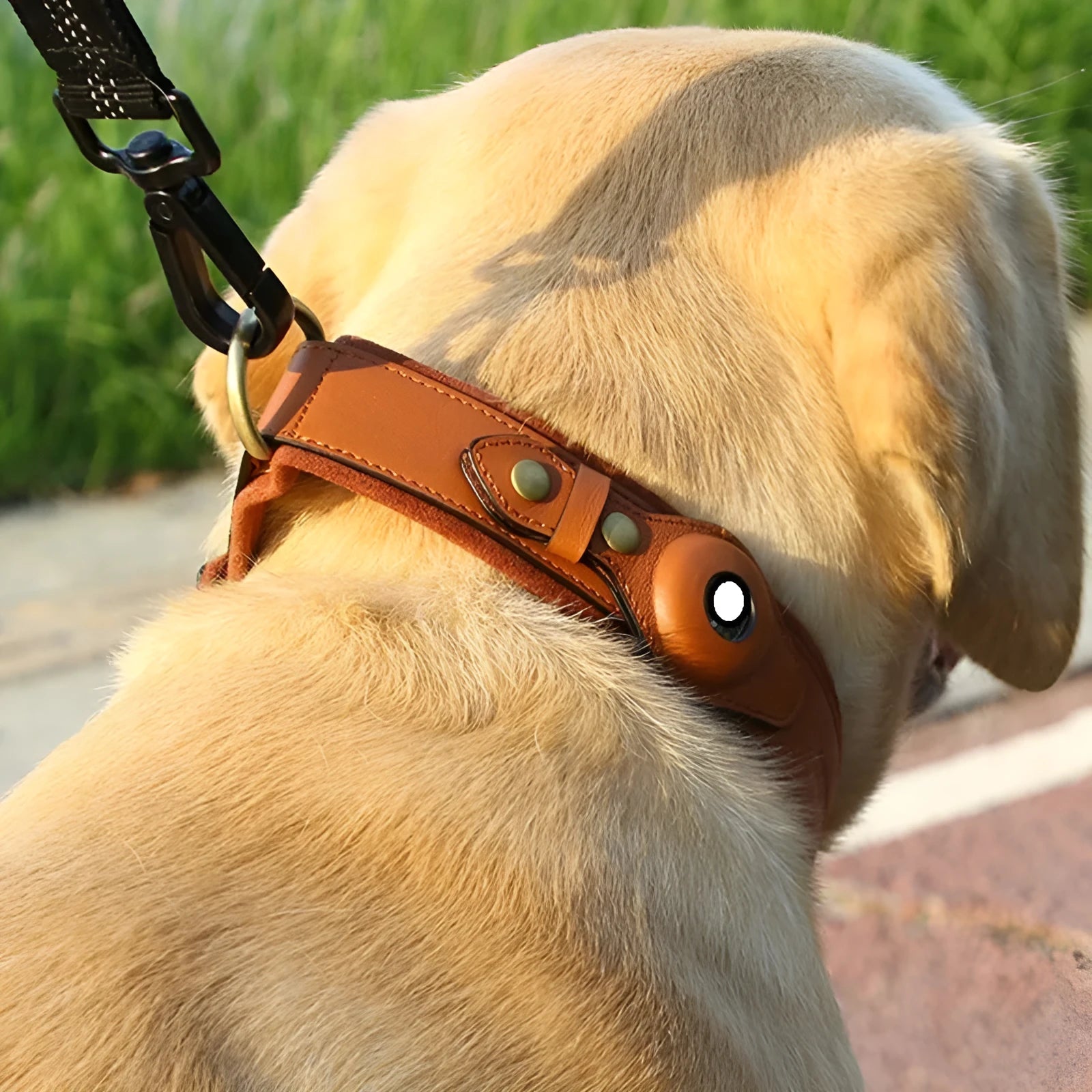 First layer leather dog collar with Apple AirTag slot, available in black, army green, and orange, sizes S M L