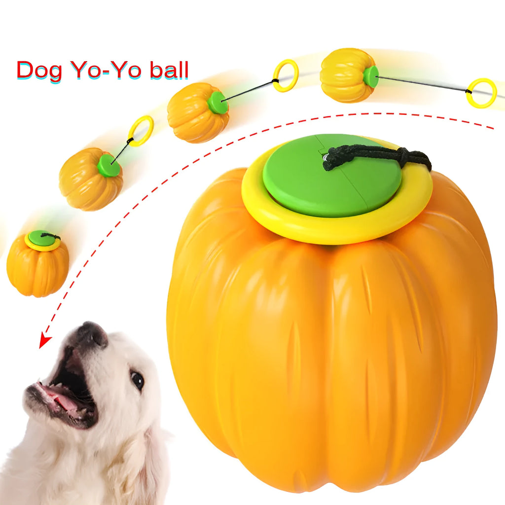 Orange plastic pumpkin-shaped dog toy with squeaker for small dogs on a green background.