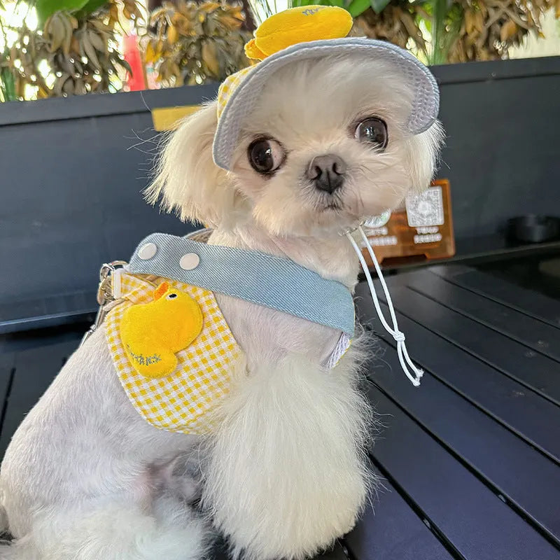 Pet harness and leash set with wire rope pulling rope, matching cat clothes and hat for dogs and cats