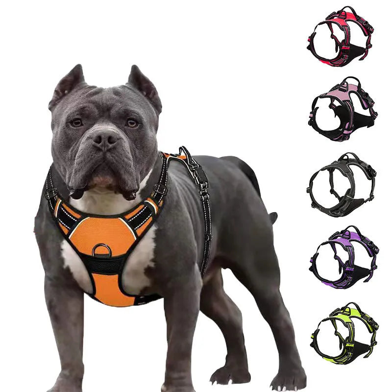 Nylon dog rope lead with chest and back control in multiple colours and sizes for pet walking and training