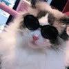 Pet dog cat multi-color sunglasses with round resin frame and UV380 PC lenses in black and gray