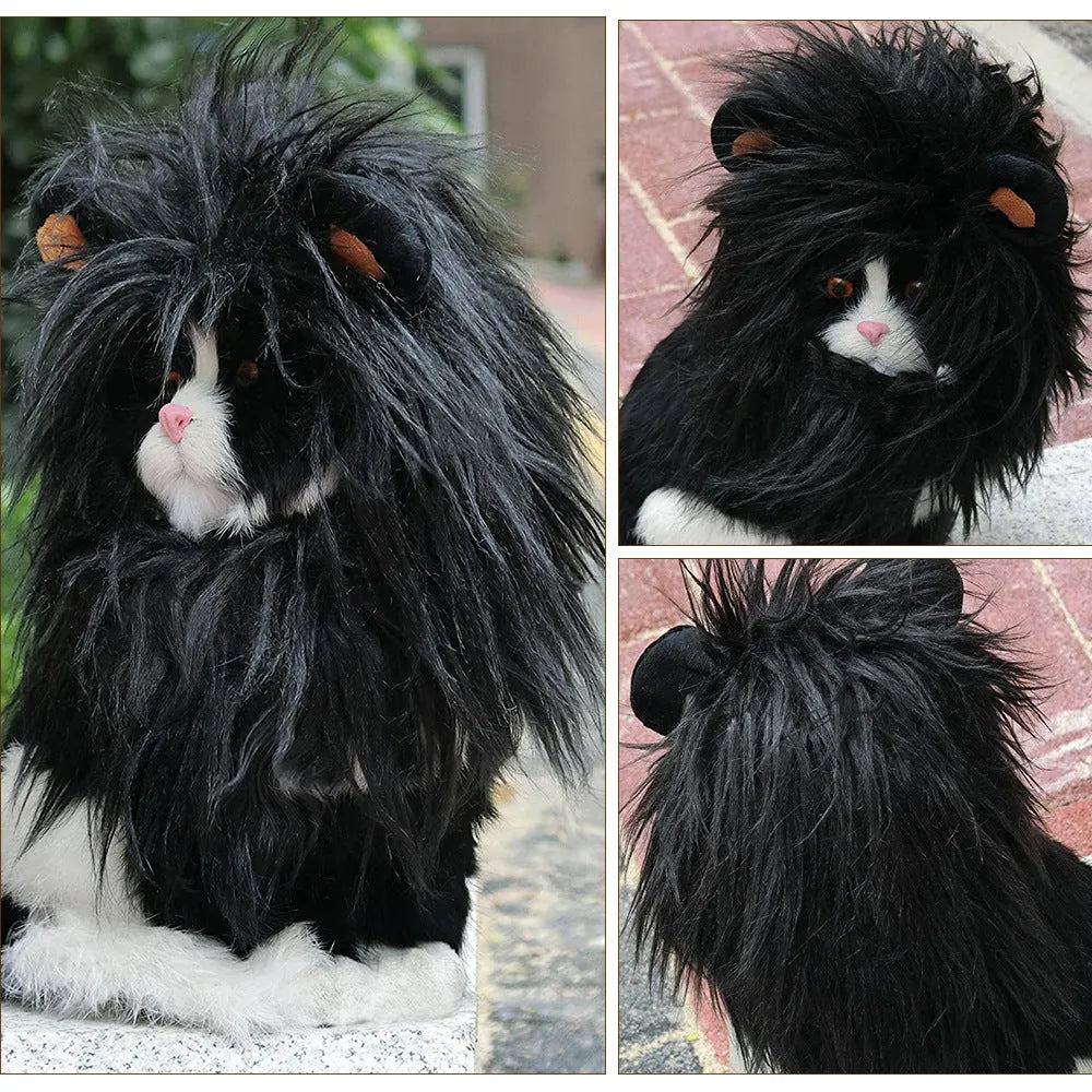 Cat wearing lion headgear wig hat costume in black colour