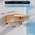 Wall-mounted cat climbing frame with sisal scratching post, enclosed space capsule bed, and dangling rope toys.