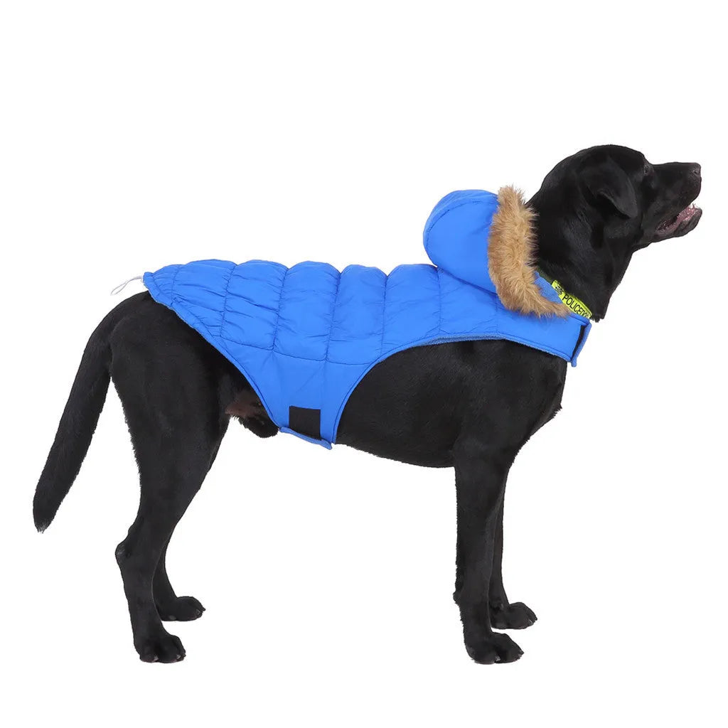 Reflective winter dog coat in blue or green, polyester, sizes S to XXL for large dogs