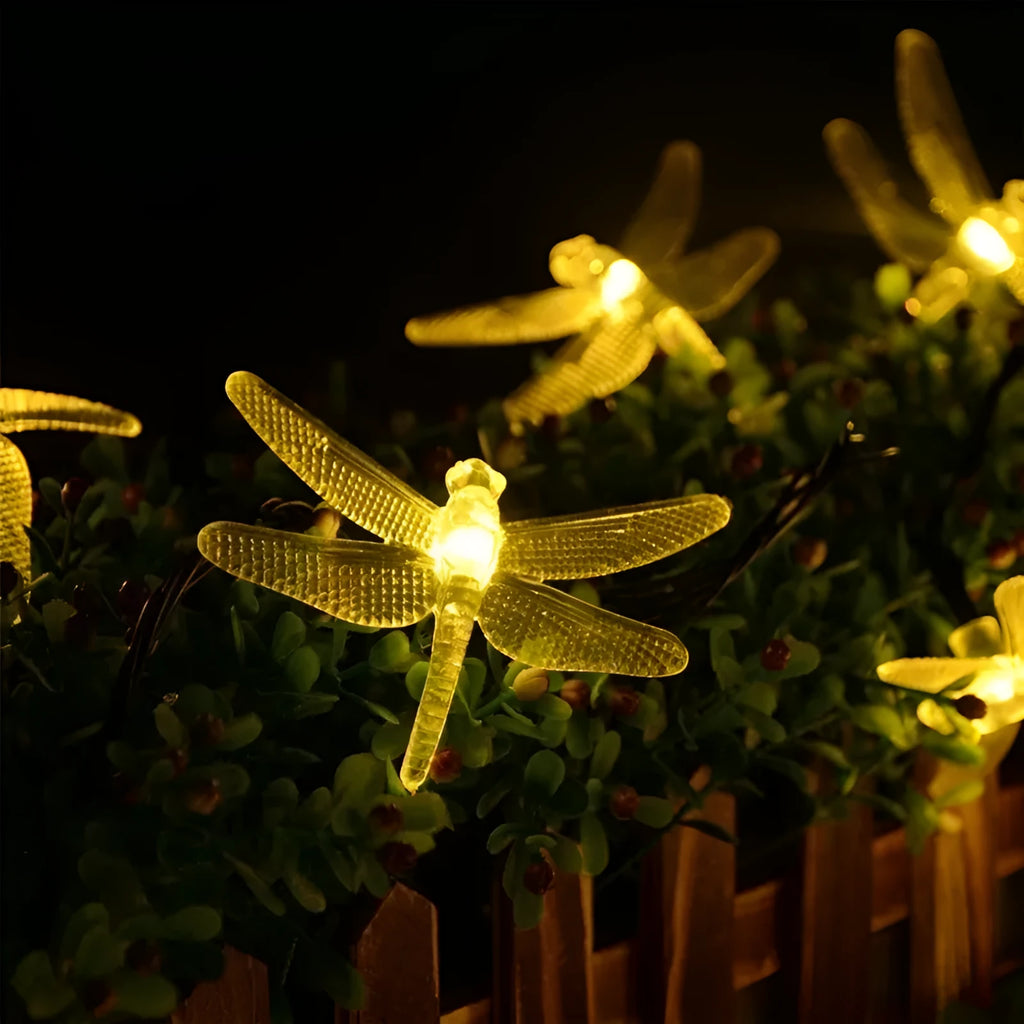 Solar powered outdoor LED string lights with dragonfly design showing warm white illumination in garden setting