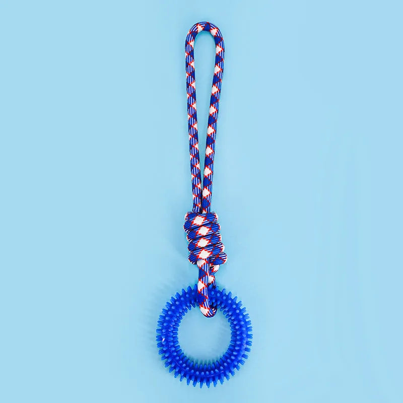 Colourful blue braided rope knotted dog chew toy on a white background.