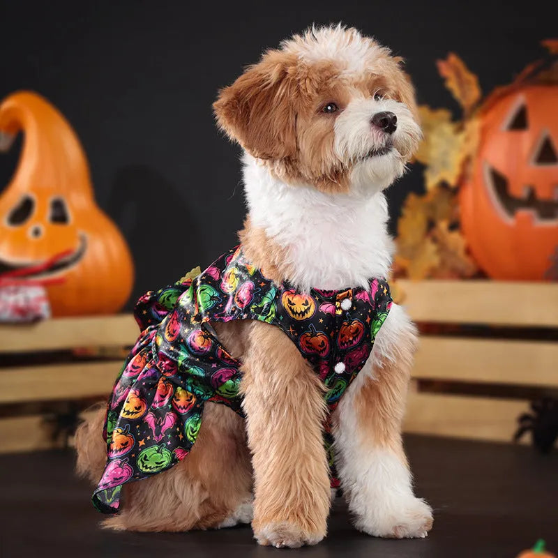 Halloween dog costume with angel wings in bright pumpkin orange colour.