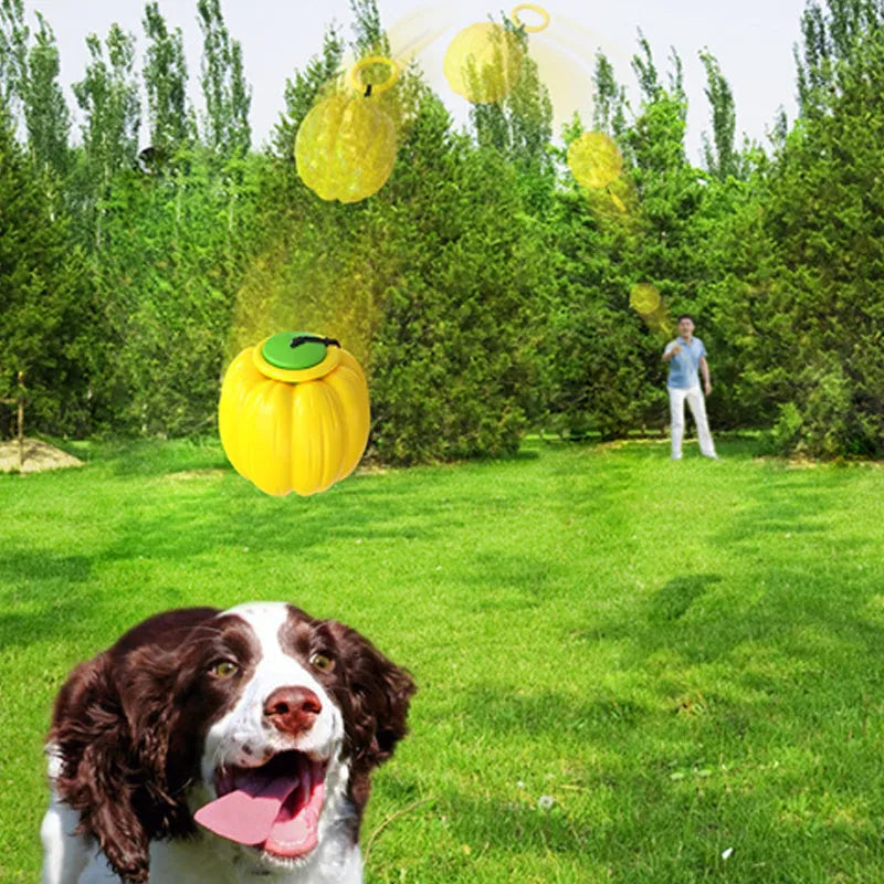 Orange plastic pumpkin-shaped dog toy with squeaker for small dogs on a green background.
