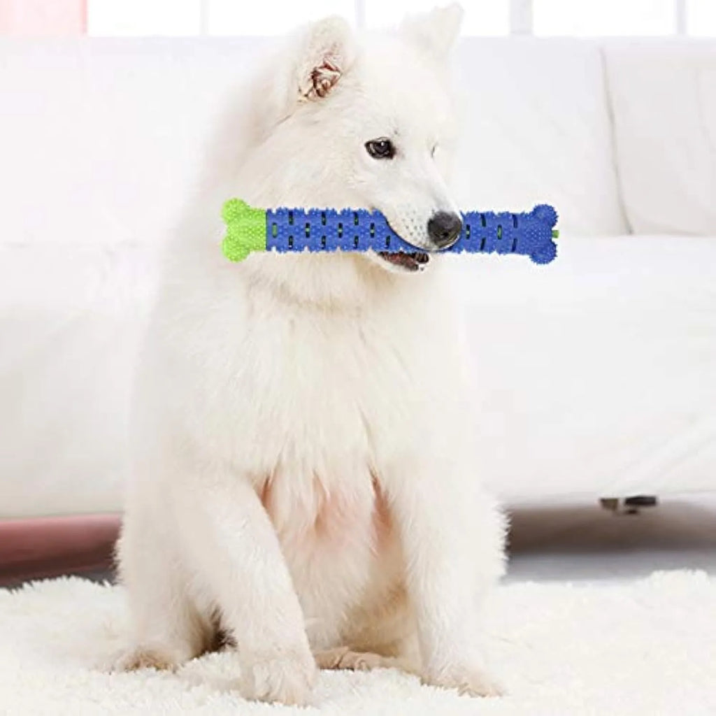 Blue green dog dental chew toy with silicone brush bristles and massage nodules, shown next to a tube of toothpaste.