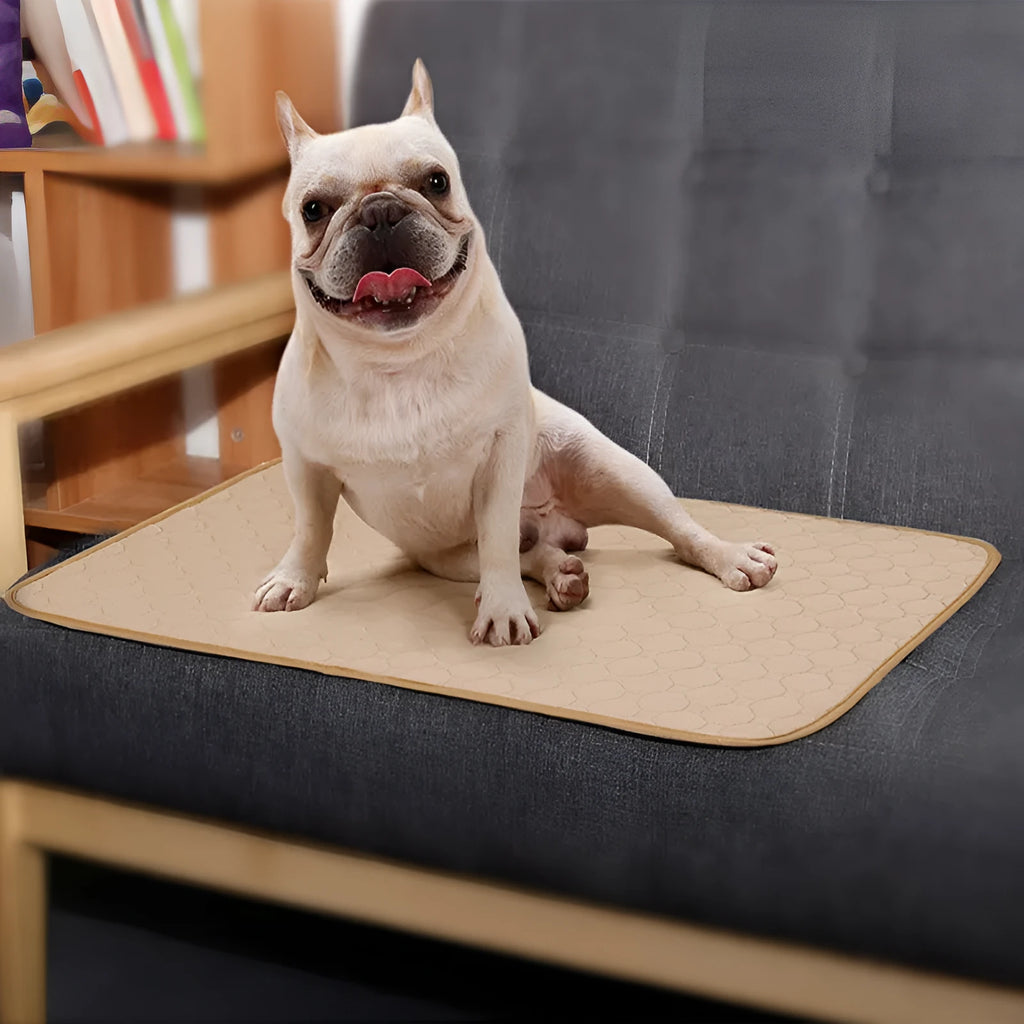Reusable dog urine pad in gray with non-slip TPU waterproof bottom, size L (100x67cm)
