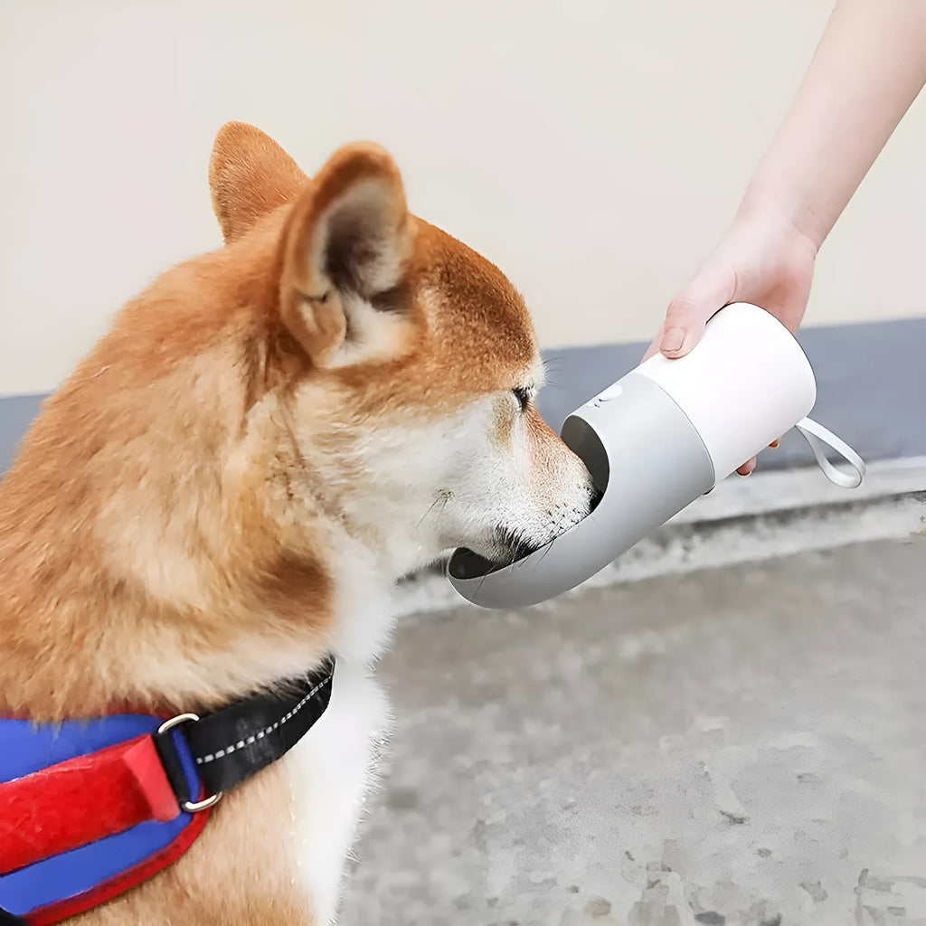 Moestar rocket-shaped pet drinking cup in white with grey or orange accents showing one-button lock mechanism