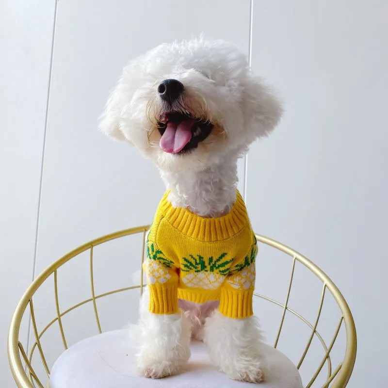 Yellow wool pet coat with pineapple print for autumn and winter, available in sizes S to XXL