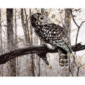 Owl digital painting kit showing canvas, acrylic paint pots, and brushes on a table.